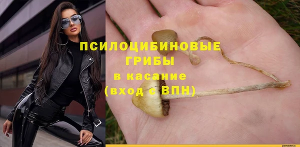 ГАЛЛЮЦИНОГЕННЫЕ ГРИБЫ Арсеньев