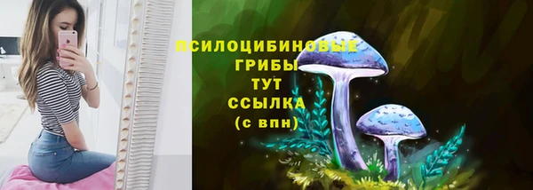 ГАЛЛЮЦИНОГЕННЫЕ ГРИБЫ Арсеньев