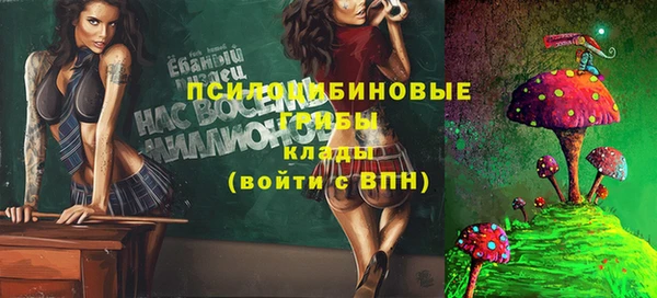 ГАЛЛЮЦИНОГЕННЫЕ ГРИБЫ Арсеньев