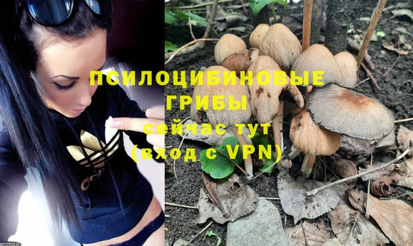 кокаин перу Аркадак