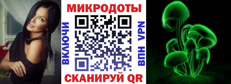 дарнет шоп  гидра ССЫЛКА  Галлюциногенные грибы мицелий  Новоульяновск 